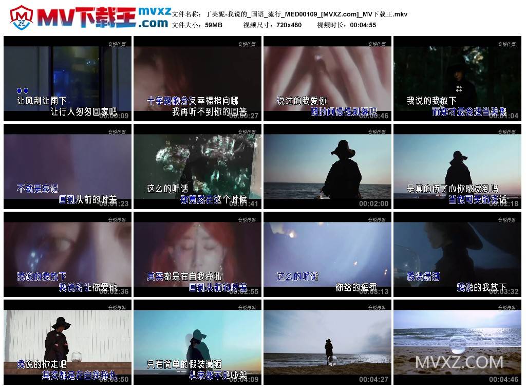 丁芙妮-我说的_国语_流行_MED00109